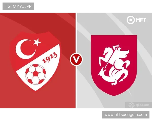 土耳其国家队新月军团